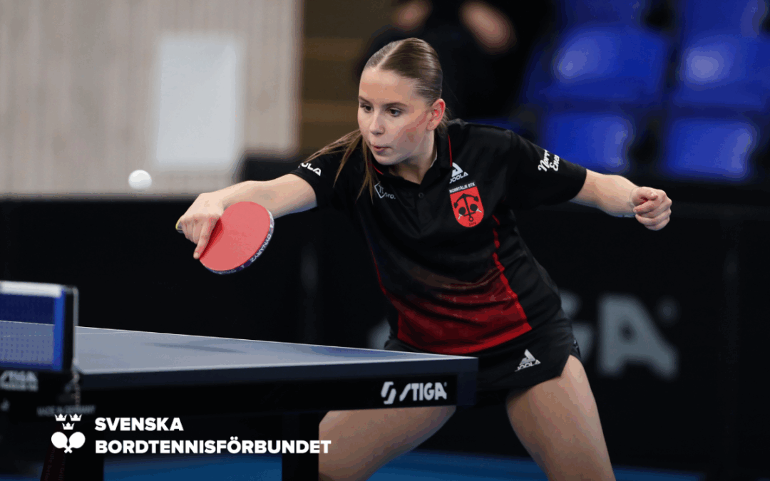 Säsongsfinal av Sweden Tour i Linköping