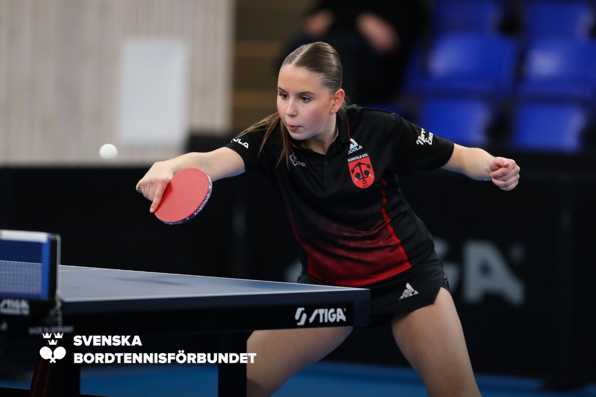 Säsongsfinal av Sweden Tour i Linköping