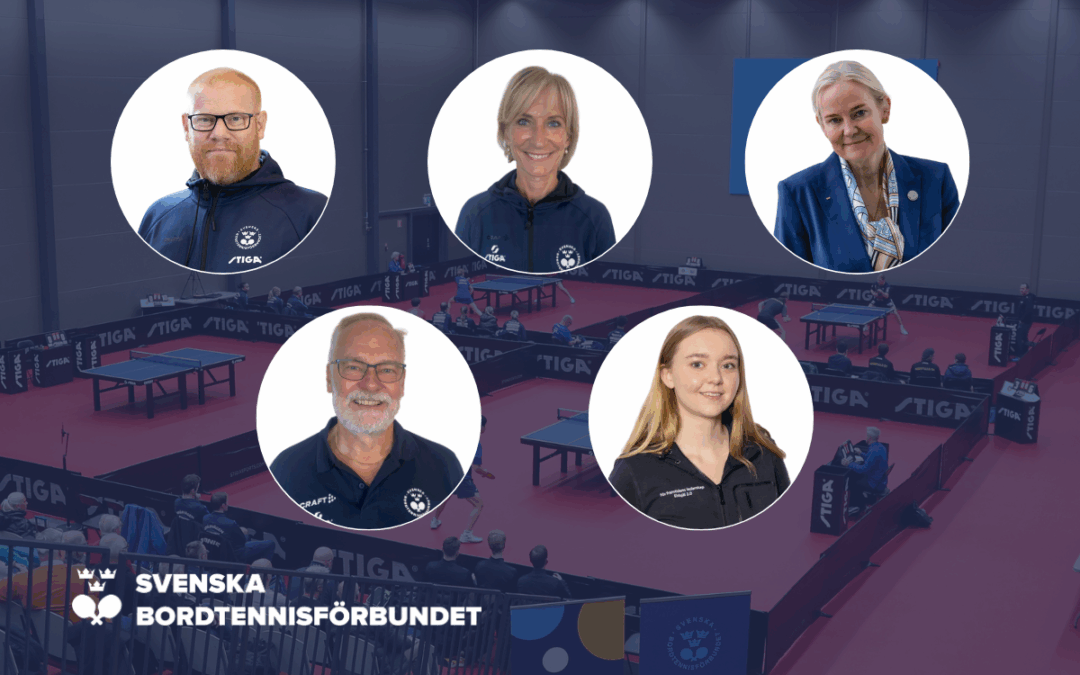 SBTF-representanter i RF:s grupperingar