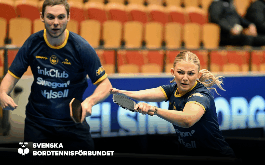 Färdigspelat för svenskarna på Para-EM – brons till Anja och Jonas