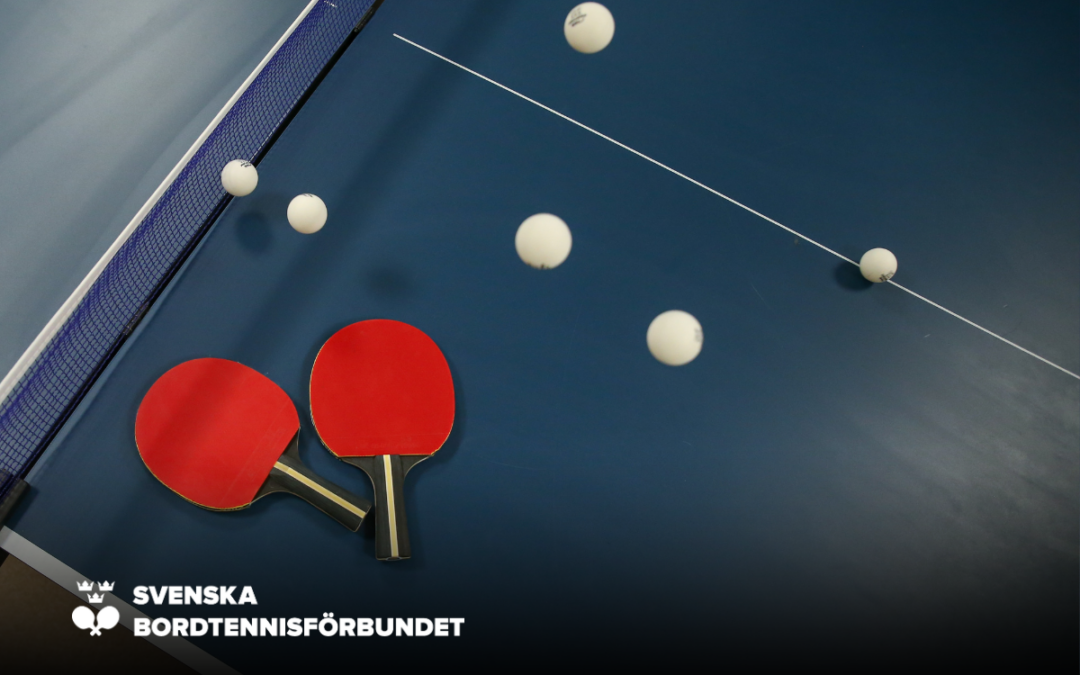 Information om arbetet med att rekrytera en ny generalsekreterare