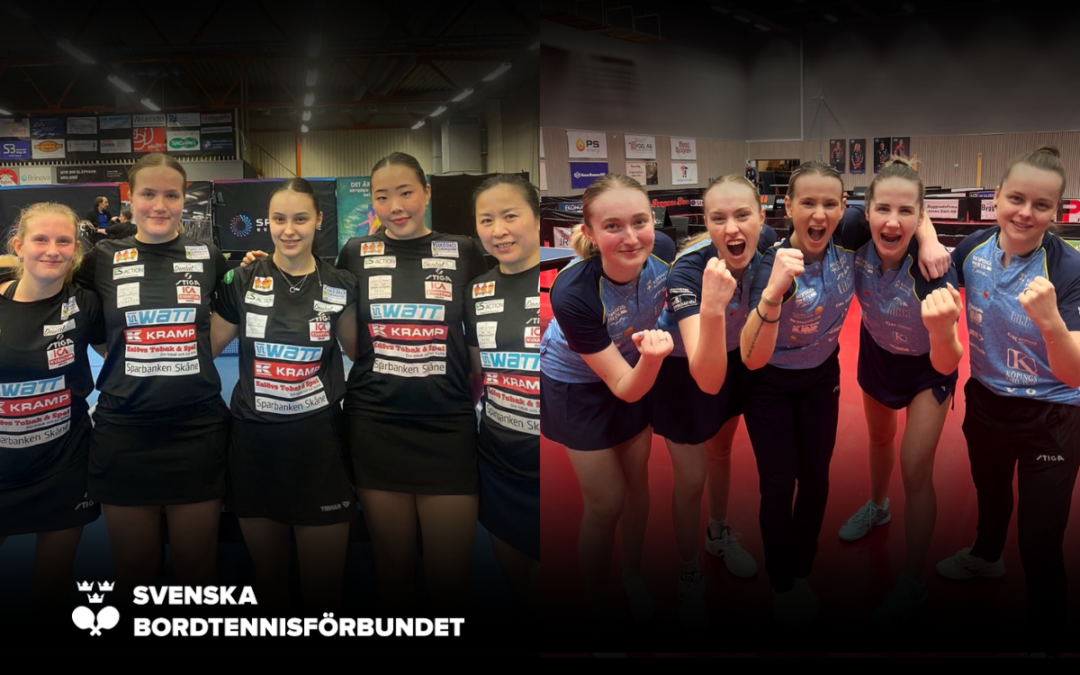 Stjärnglans och laginsats bakom finalplatserna för Köping och Eslöv