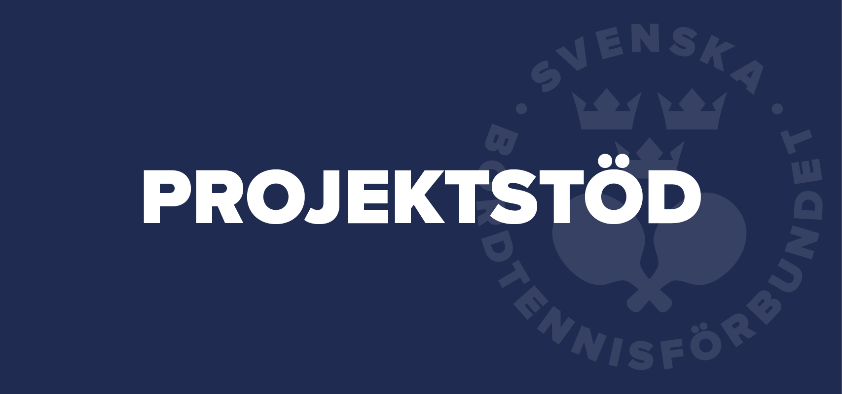 knapp-ppp-projektstod