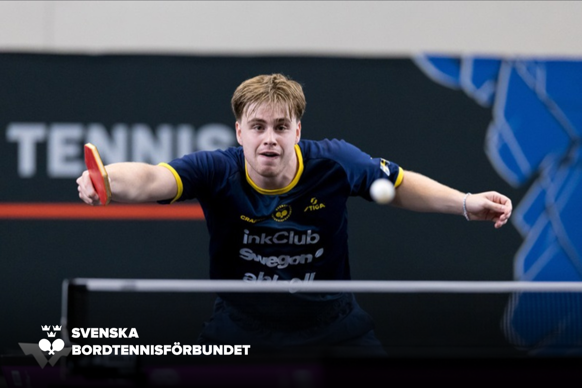 SBTF Hemsida (77)