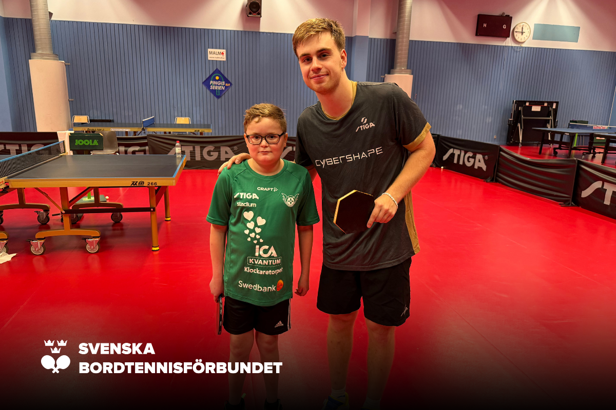 SBTF Hemsida NY (1)