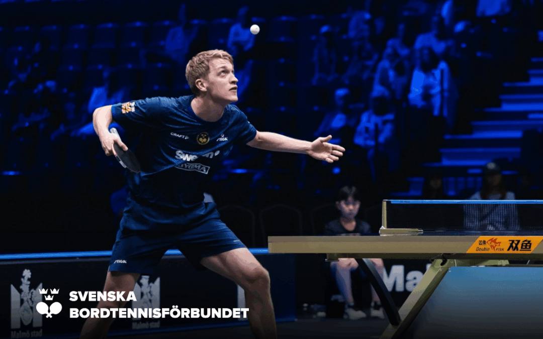 Fortsatt dominans från Anton på WTT Champions Macao