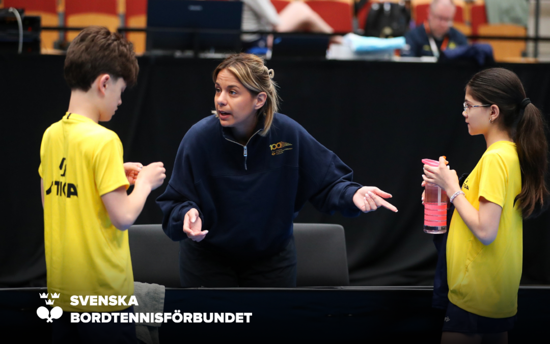 Ungdomslandslagets organisation 2026–2027