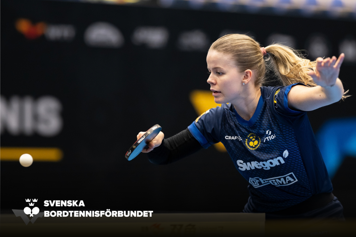 SBTF Hemsida NY (15)