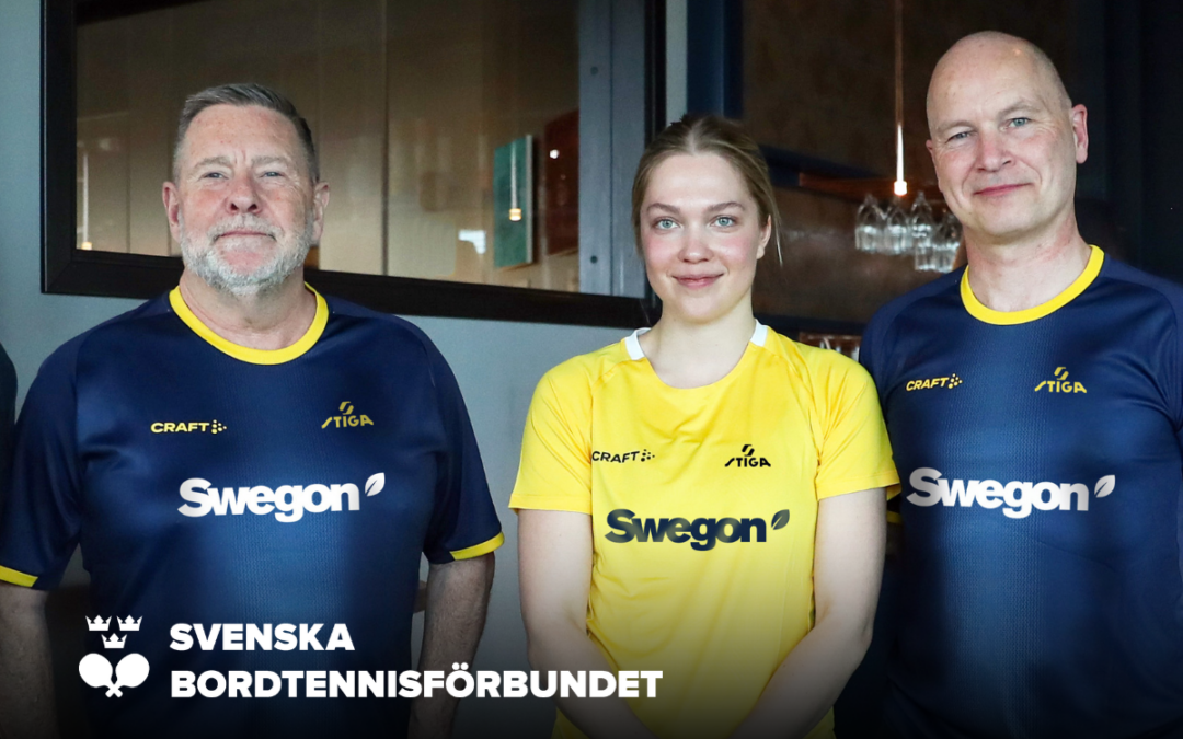 Webbinarium: Ventilation och luftkvalitet i pingishallar