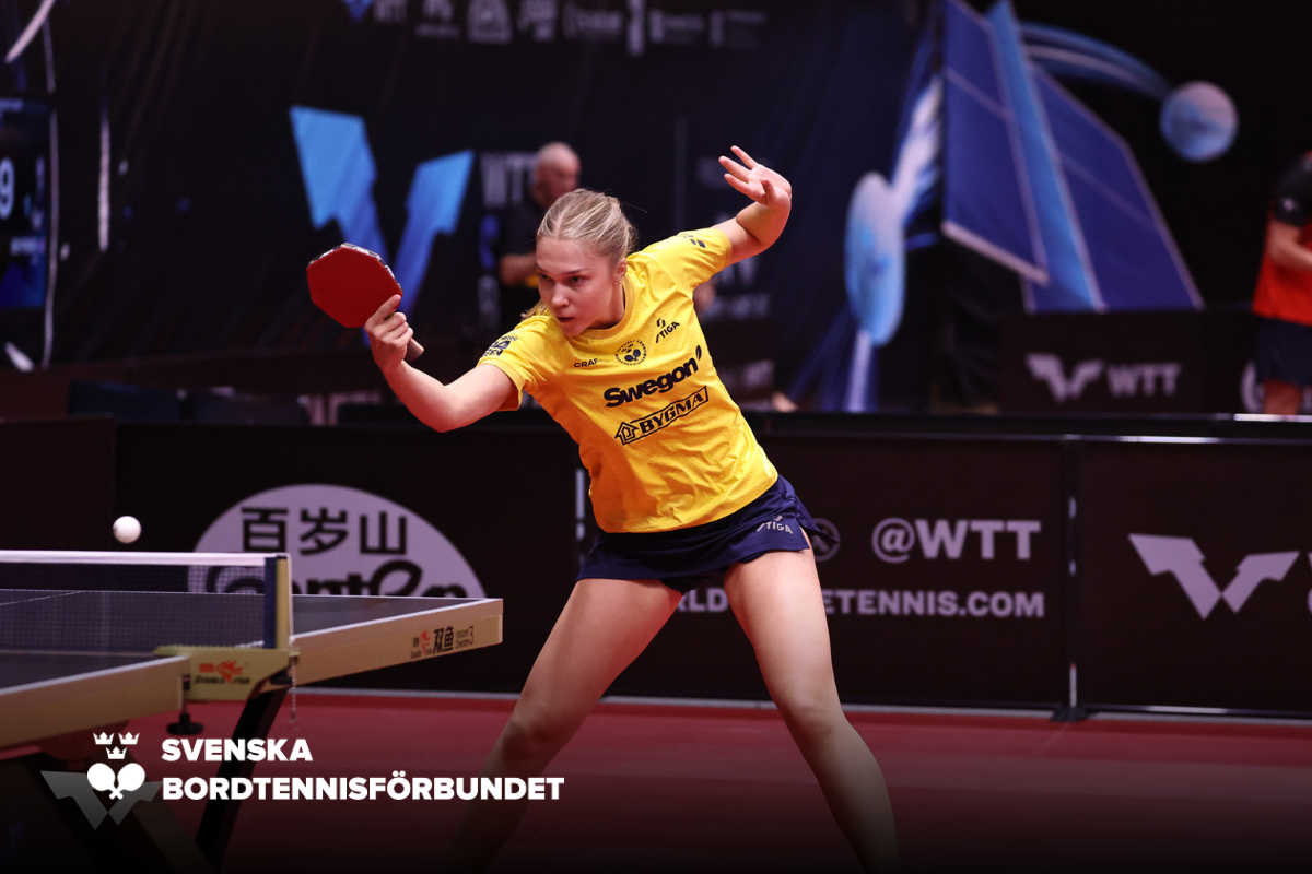 SBTF Hemsida NY (16)