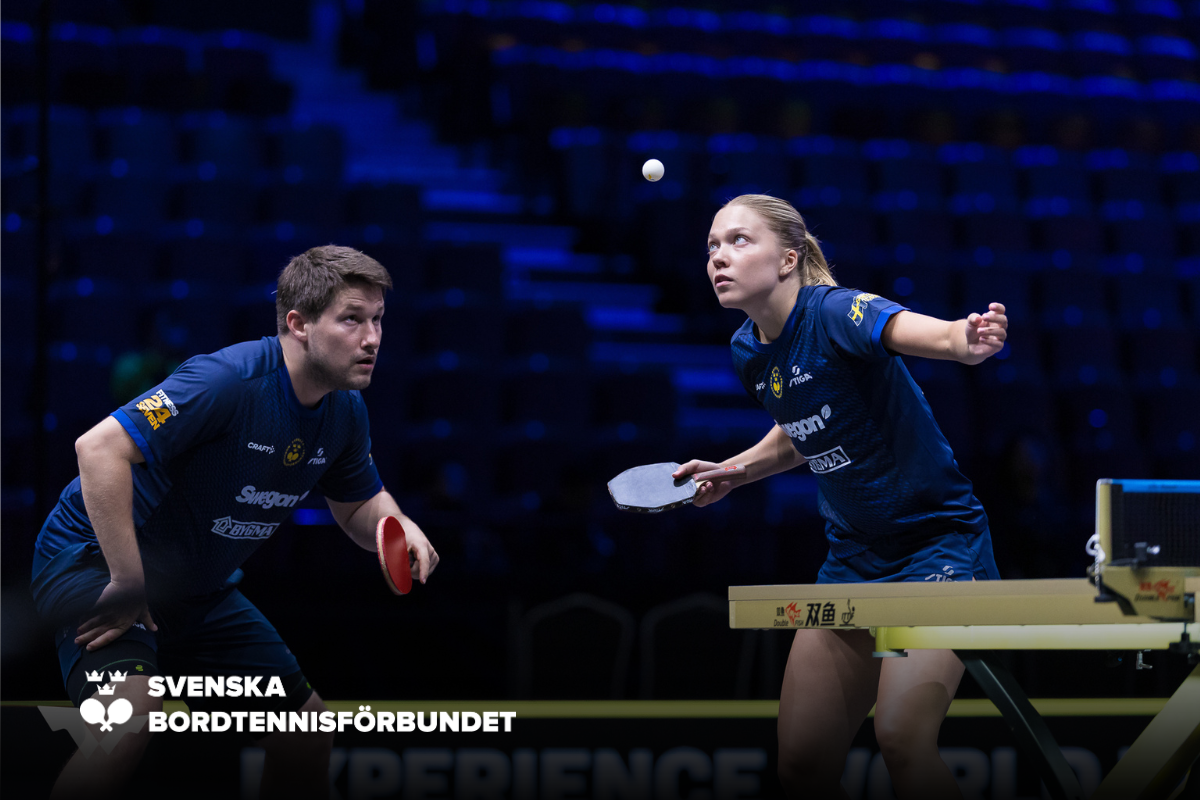 SBTF Hemsida NY (17)