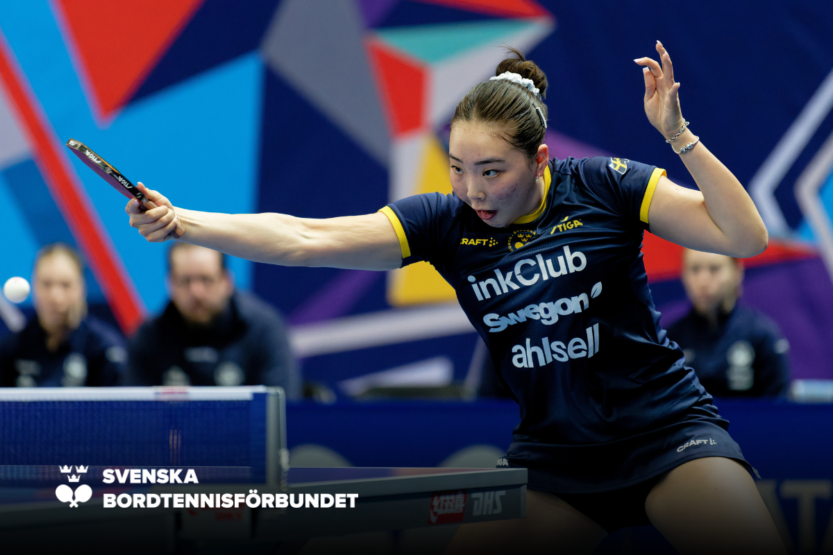 SBTF Hemsida NY (25)