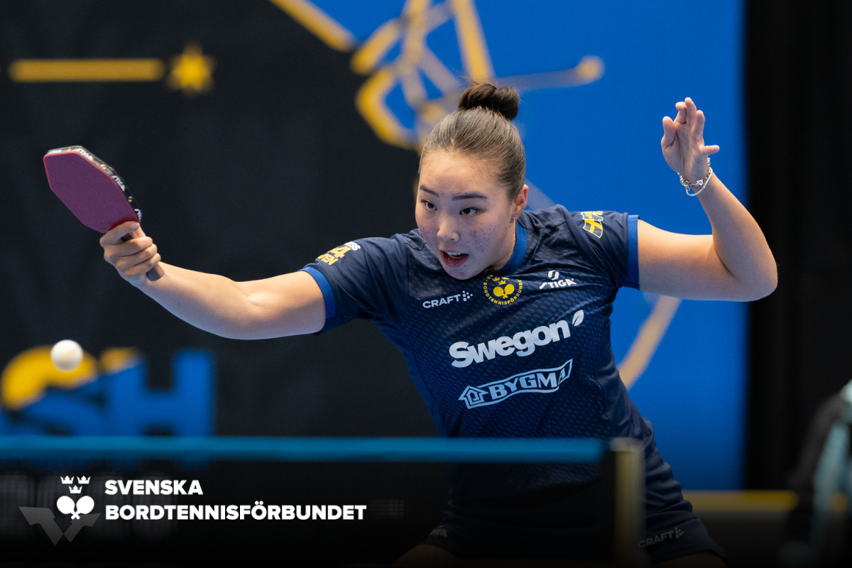 SBTF Hemsida NY (26)