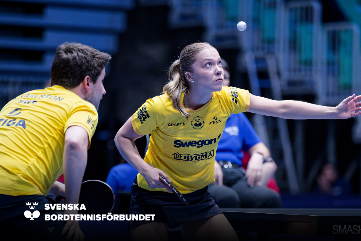 SBTF Hemsida NY (29)