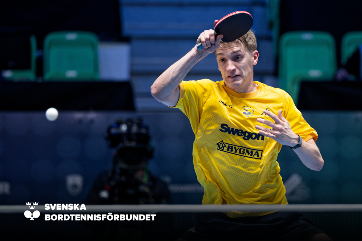 SBTF Hemsida NY (32)