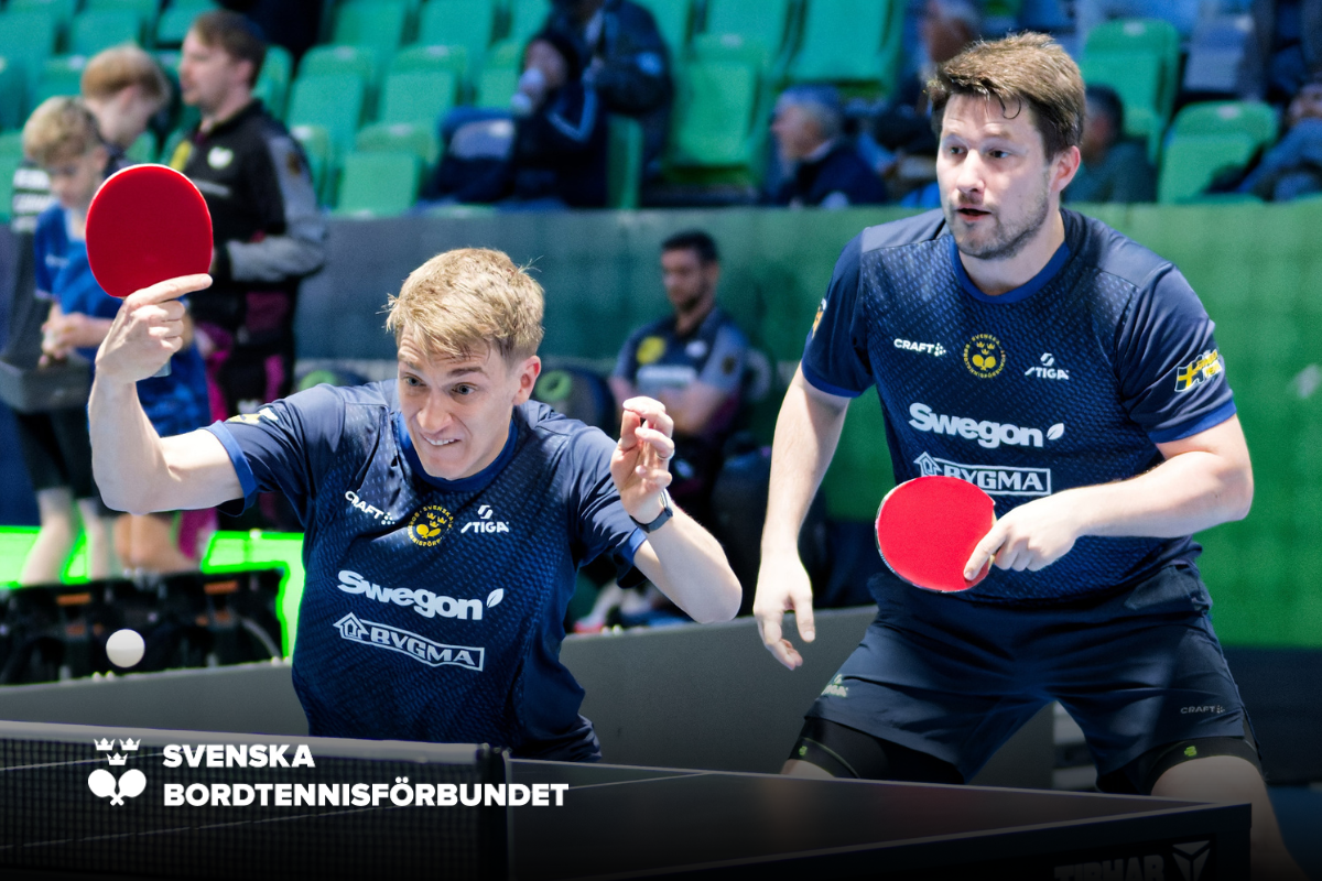 SBTF Hemsida NY (33)