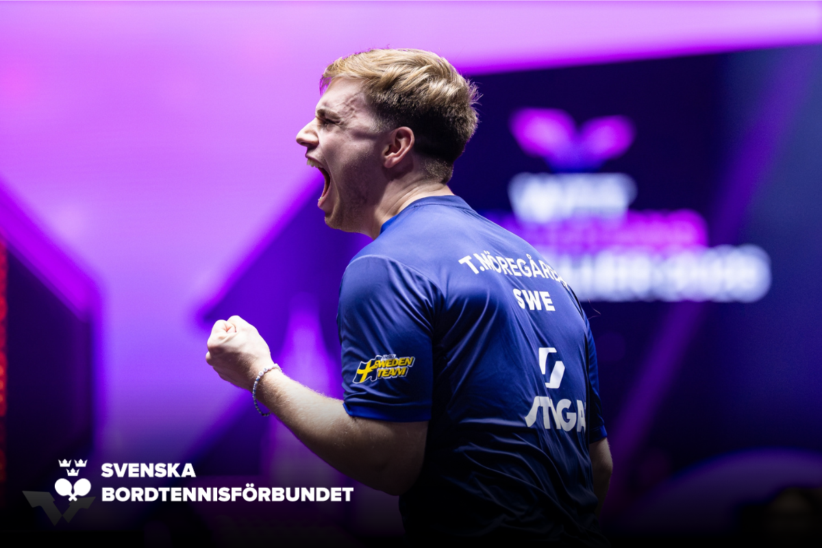 SBTF Hemsida NY (44)